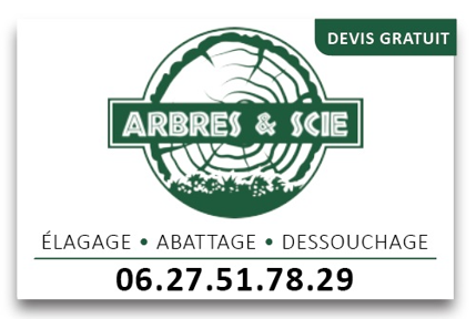 Arbres et Scie